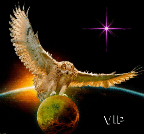 vip